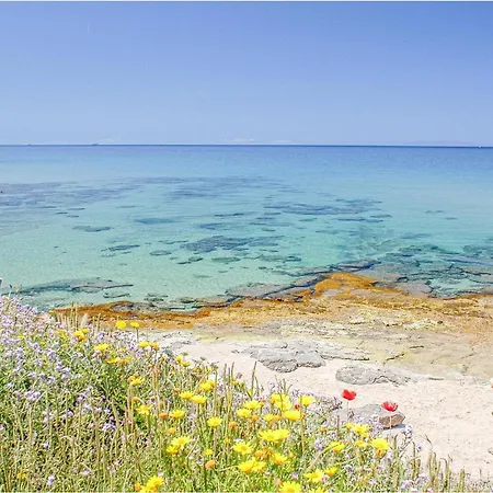Bilo Sup * Isola Rossa (Sassari)